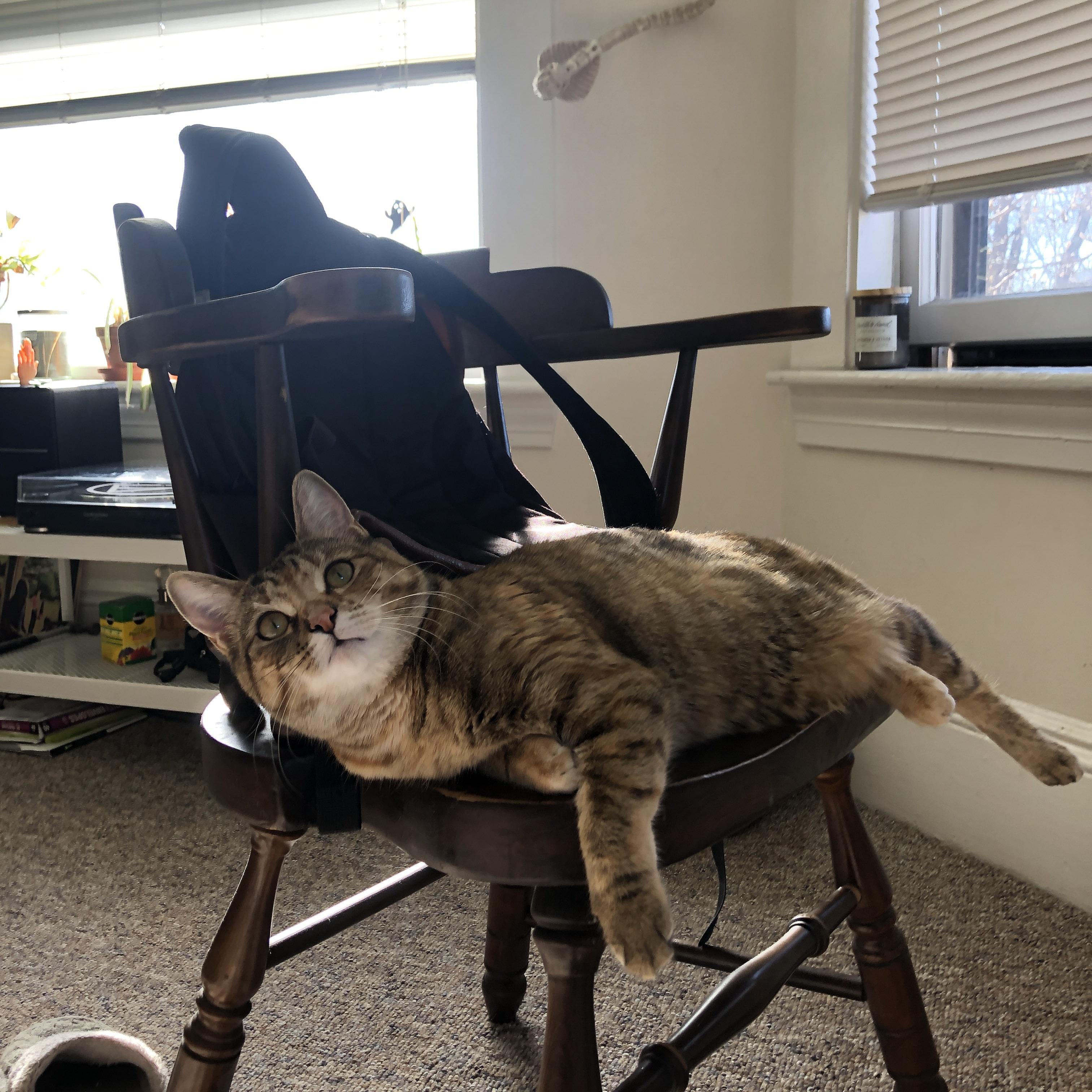 历史对比：今年冲冠悬念几何？