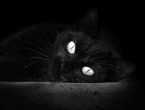 普拉提课程在老年人群体中推广，改善身体功能，普拉提针对的人群