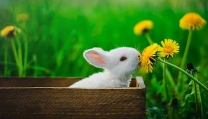 开云esport-莫德里奇宣布将为皇马再战一个赛季