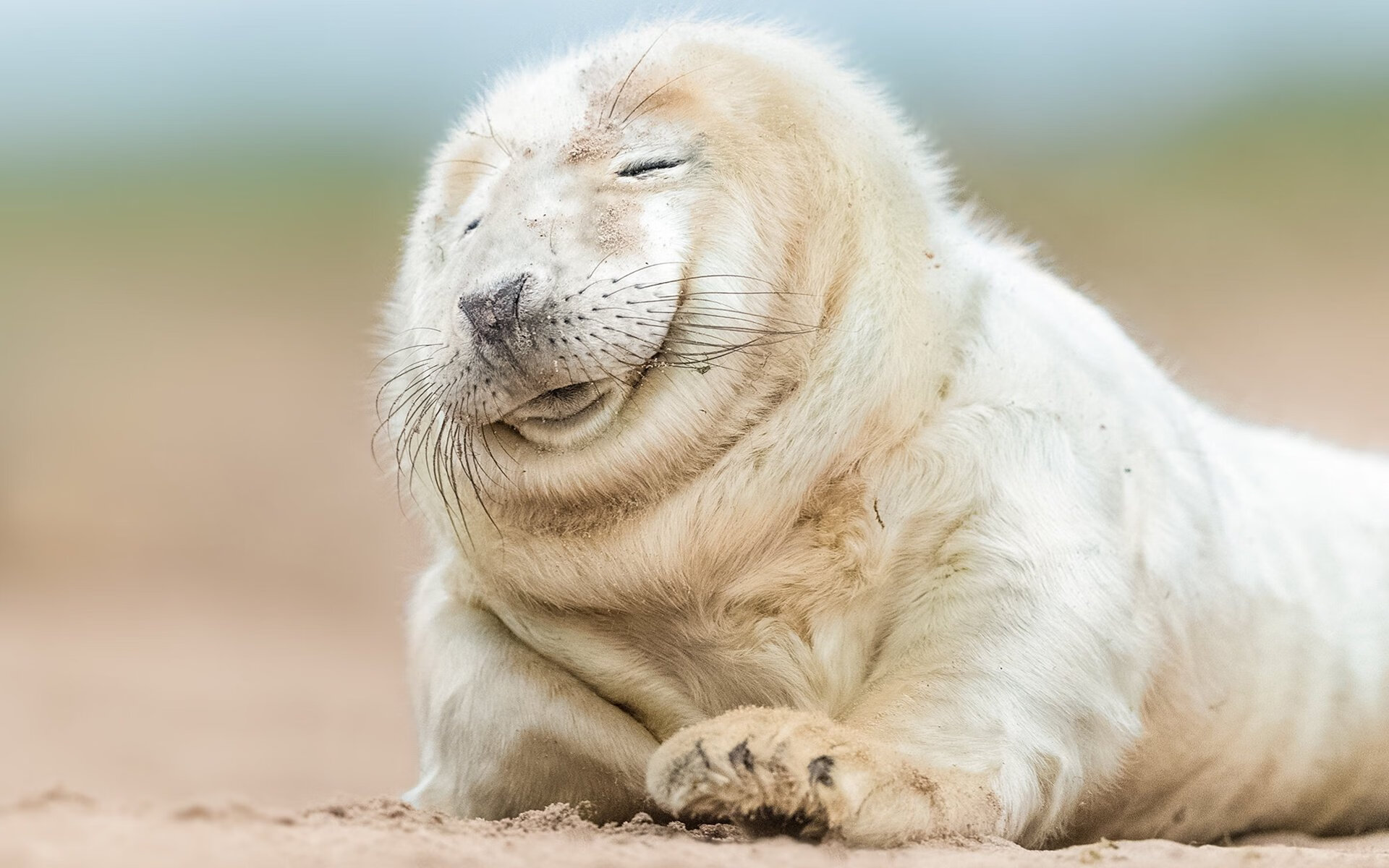 开云体育中国官网-NBA上线“球员真实身高数据库”，杜绝夸报，nba球员实际身高大揭秘